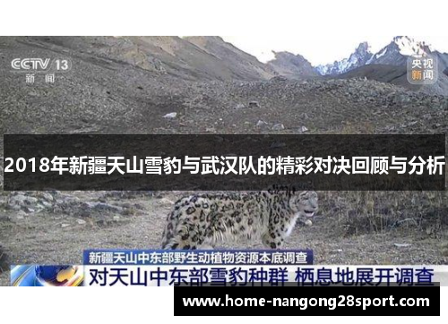 2018年新疆天山雪豹与武汉队的精彩对决回顾与分析